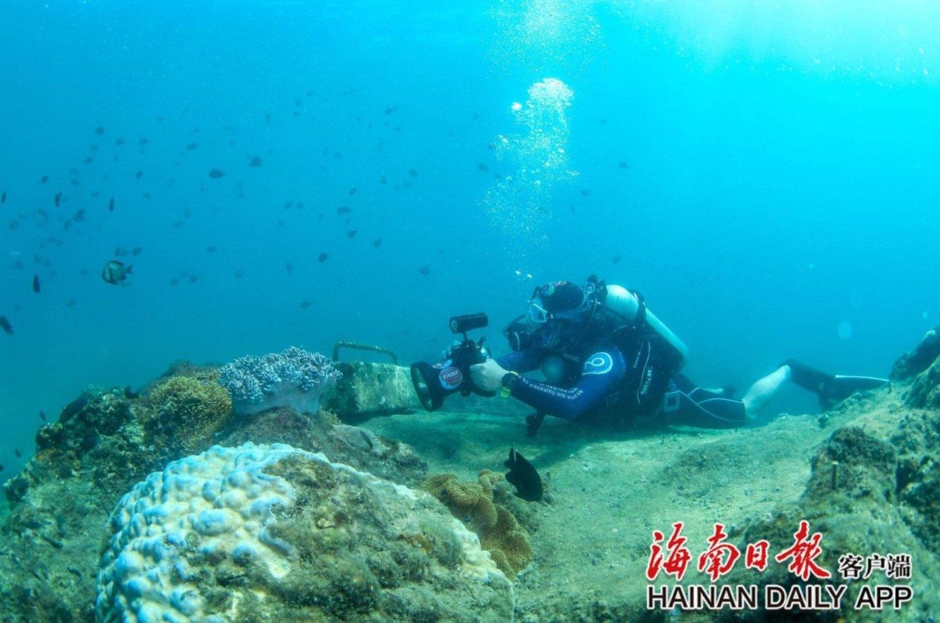 这个女孩一直想追我，可以已经有女朋友了，但觉得她这么可爱，又不好意思拒绝她，又怕我女朋友吃醋，需要游戏画面